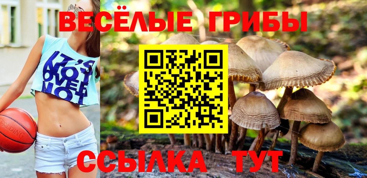 Джанкой  Галлюциногенные грибы Psilocybe  Вход с VPN 