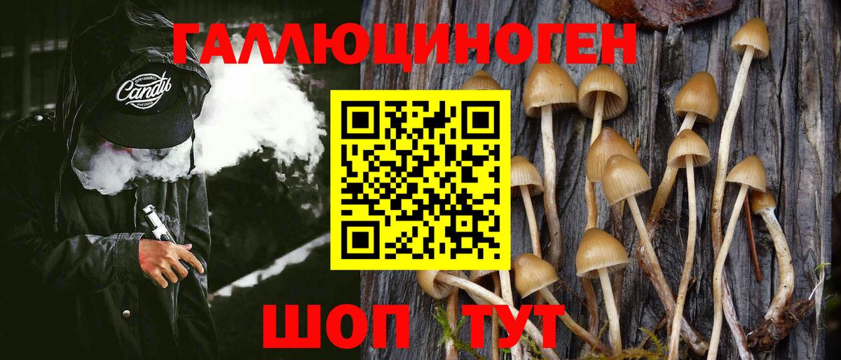 Галлюциногенные грибы MAGIC MUSHROOMS Джанкой